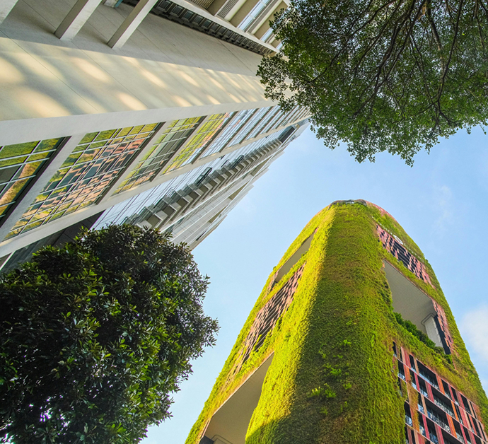 Energy Management and Power Quality